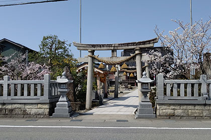 春の画像2