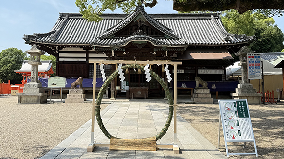 夏の画像1
