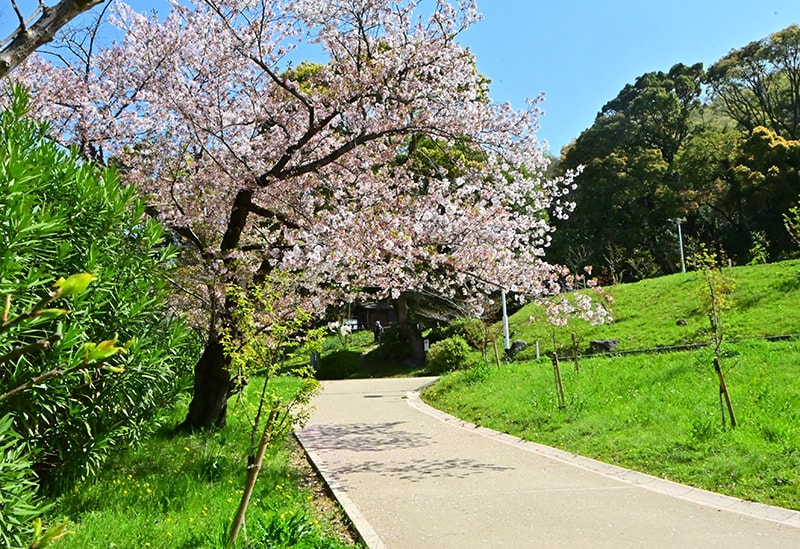 枚岡神社