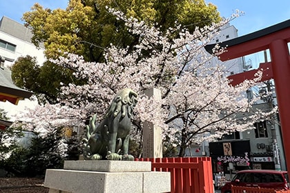 春の画像2