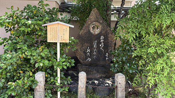 夏の画像1