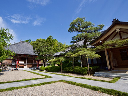 歓喜山　善福寺