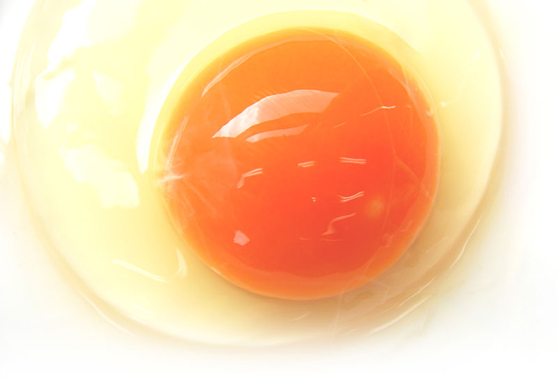 こだわり卵のセーラー