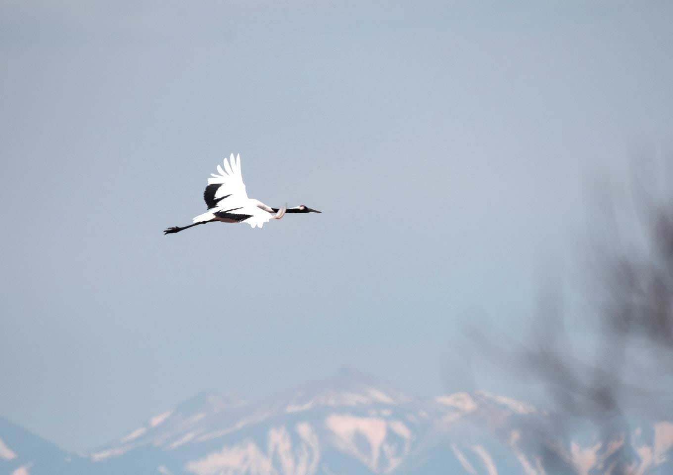 アドベンチャートラベルの3つの要素
