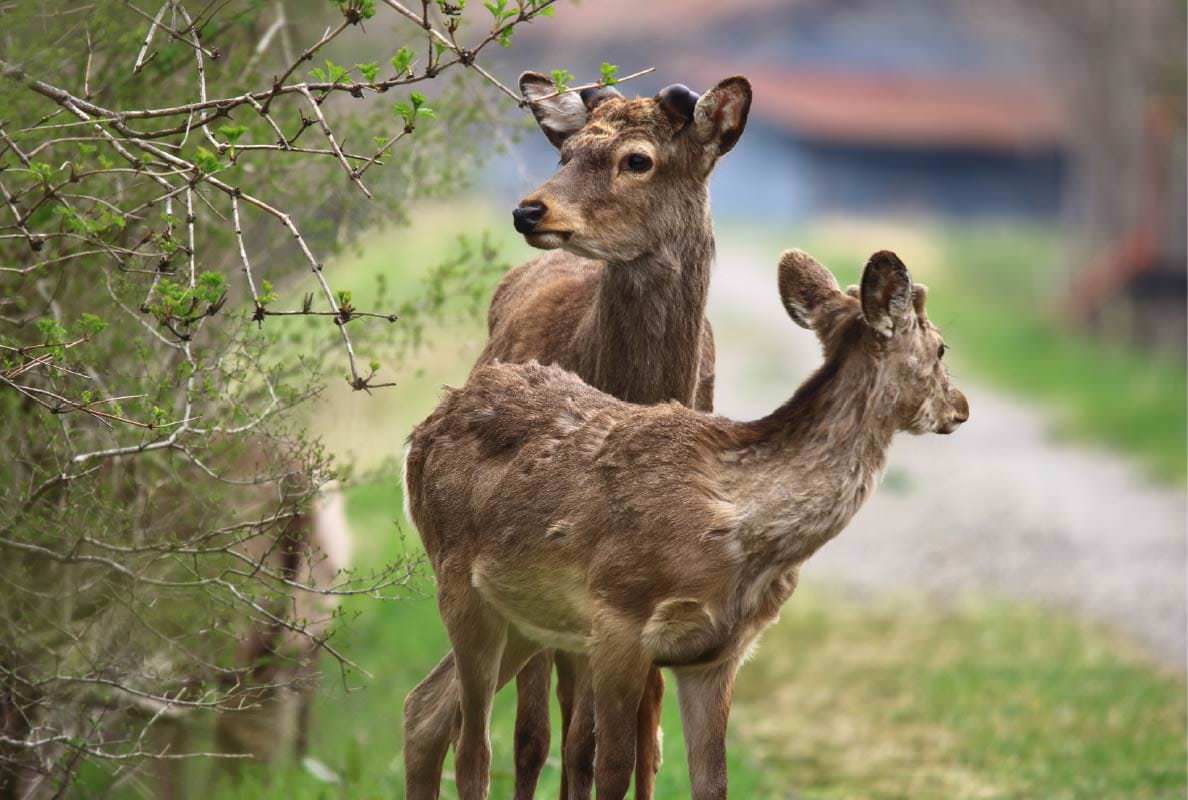 アドベンチャートラベルの3つの要素