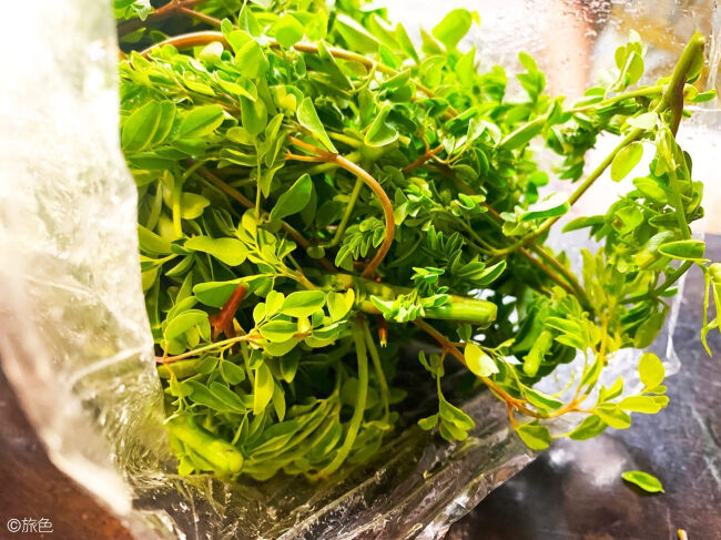 宮古島で モリンガ を食べて学ぶ癒し旅 穴場の夕焼けスポットも 旅のきっかけを教えてくれる 旅色アンバサダーの旅スタイル 旅色