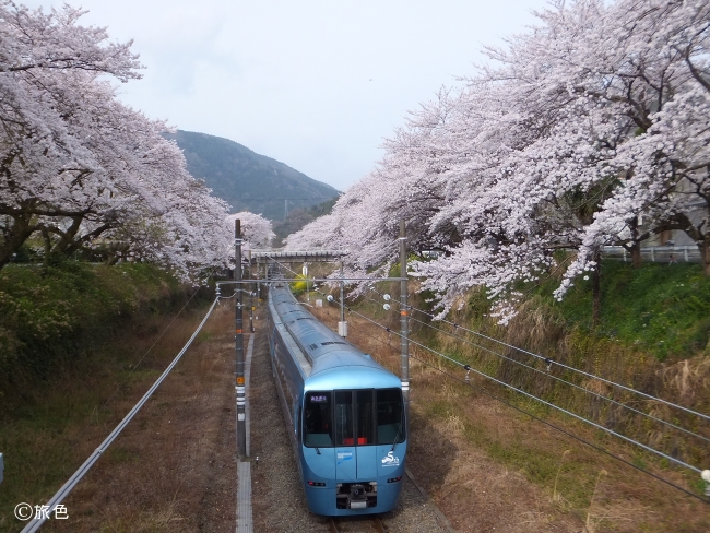 春の絶景 詰め合わせ 木村裕子のおもしろ鉄道旅 山北駅編 旅のきっかけを教えてくれる 旅色アンバサダーの旅スタイル 旅色