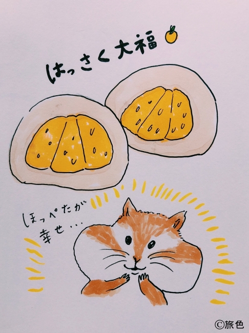 尾道イラスト旅⑤