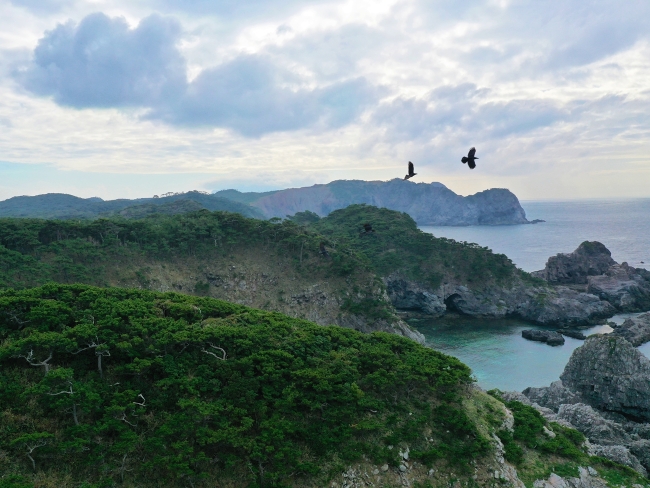 ドローン旅の絶景写真