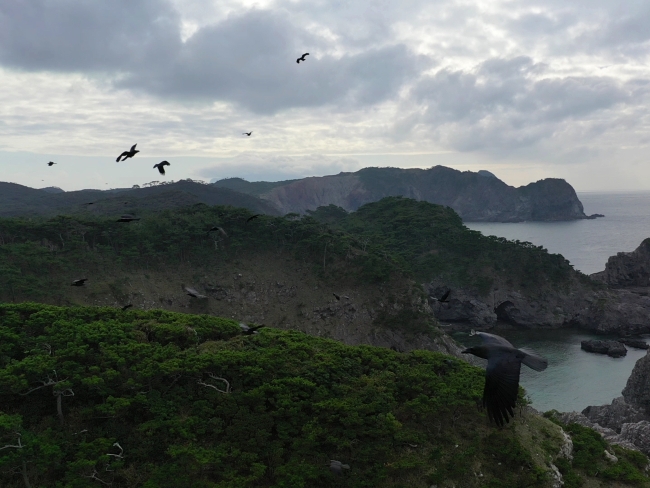 ドローン旅の絶景写真
