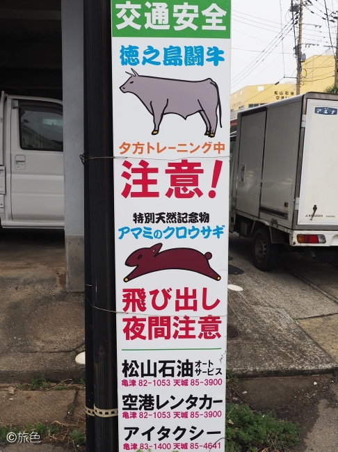 ドローン旅の絶景写真