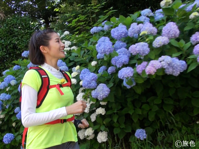 桜 紅葉 紫陽花 四季折々の景色を走りながら楽しむ 旅のきっかけを教えてくれる 旅色アンバサダーの旅スタイル 旅色