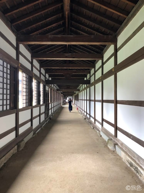 富山イラスト旅④