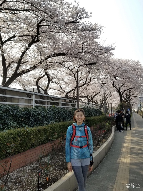 鈴木ちなみのランニング旅~荒川線と桜のおいしい関係!~②