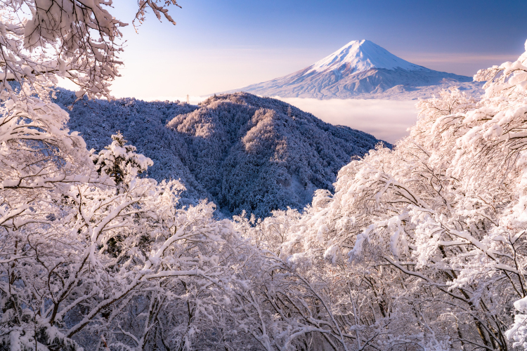 リミテッド絶景」って何？ 雲海など日本国内で見られる奇跡の絶景プラン