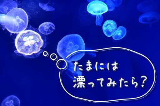 山形のさくらんぼ狩りへ クラゲに癒される一人旅 みんなの旅プラン 旅色