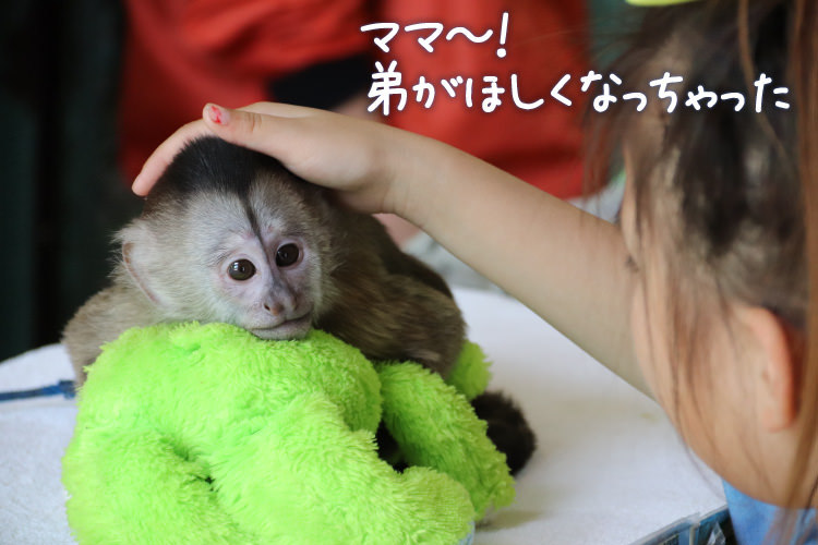 那須には公共交通で 夏の終わりに子連れ旅 みんなの旅プラン 旅色 2日目