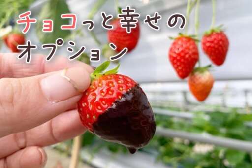 伊香保温泉へ日帰り家族旅 いちご狩りや牧場も満喫 みんなの旅プラン 旅色