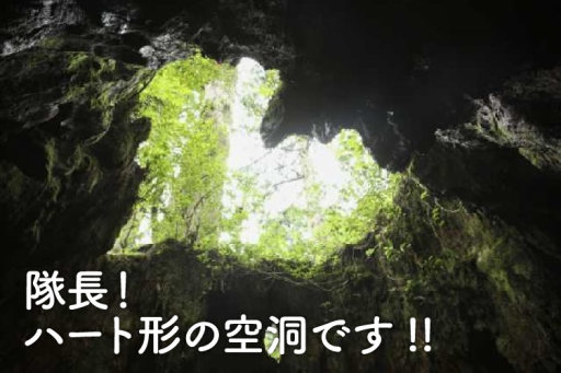 いざ世界遺産・屋久島へいにしえの森を満喫旅｜みんなの旅プラン【旅色 