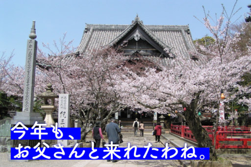 関西一早いお花見へ和歌山で夫婦のんびり旅 みんなの旅プラン 旅色 関西一早いお花見へ和歌山で夫婦のんびり旅 みんなの旅プラン 旅色