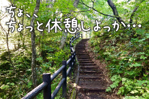 新緑の美しい白神山地へ 子連れでハイキング旅 みんなの旅プラン 旅色 2日目