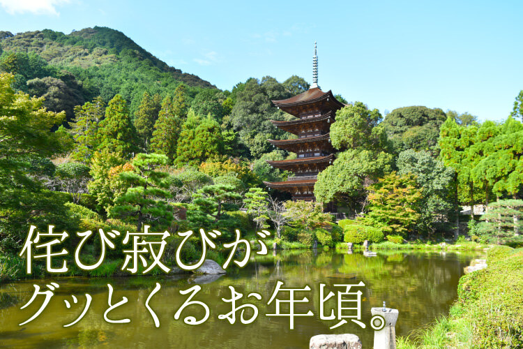 山口県内でオンリーワンの居酒屋を展開する「株式会社エブリシング」が気になる｜旅色