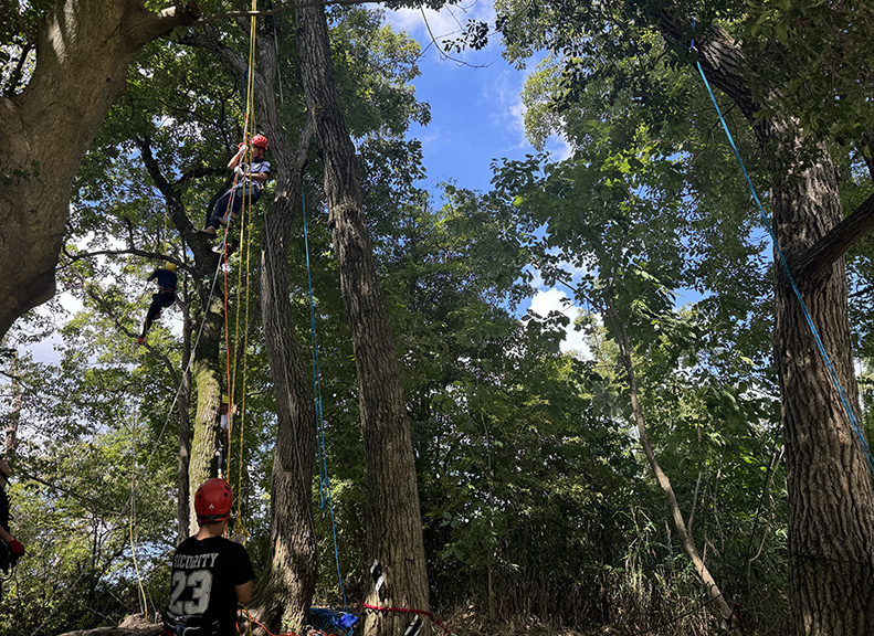大人数でも充実の団体向けプログラム