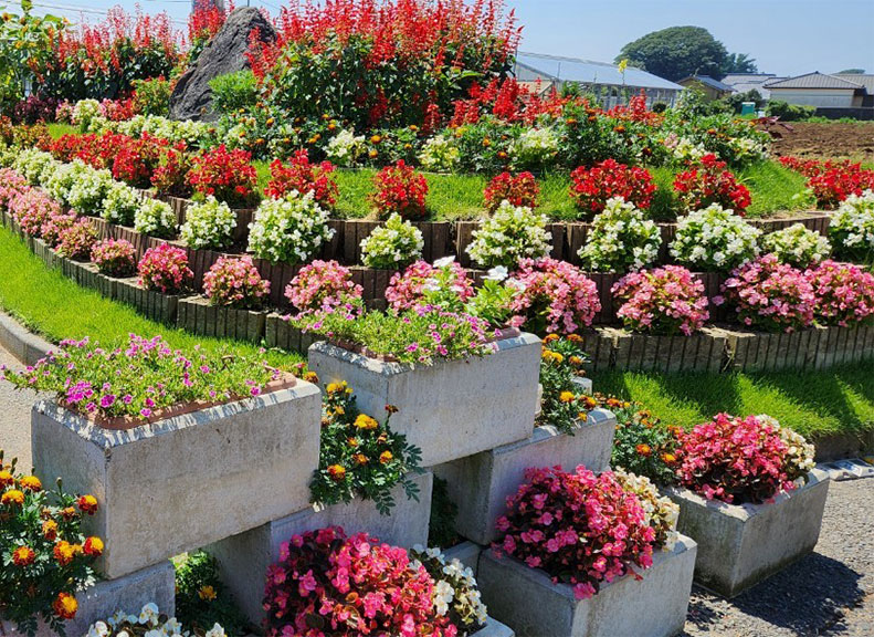 たくさんの花を植えて地域活動に取り組む