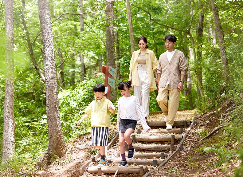 好奇心くすぐる森と遊ぶ冒険の旅