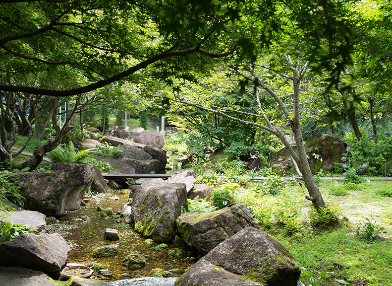 季節ごとに異なる美しい景色や森の恵み
