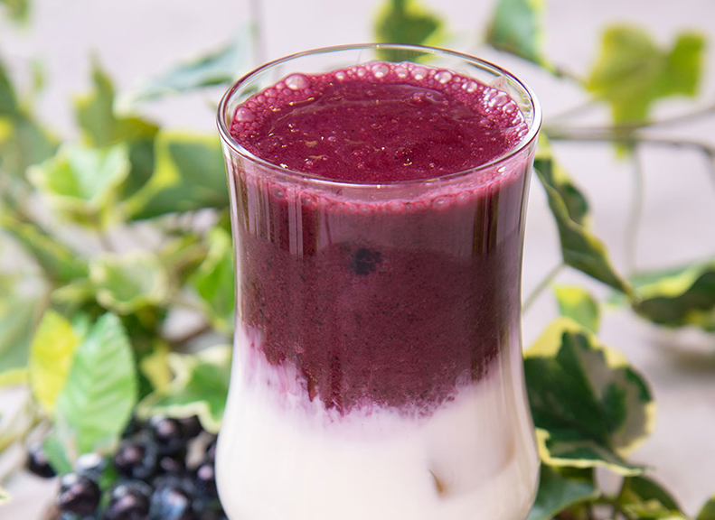 食べて撮って楽しむブルーベリーの世界