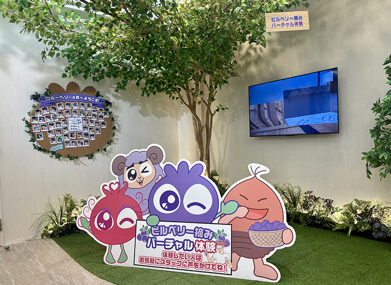 ゲーム感覚で楽しむブルーベリー体験