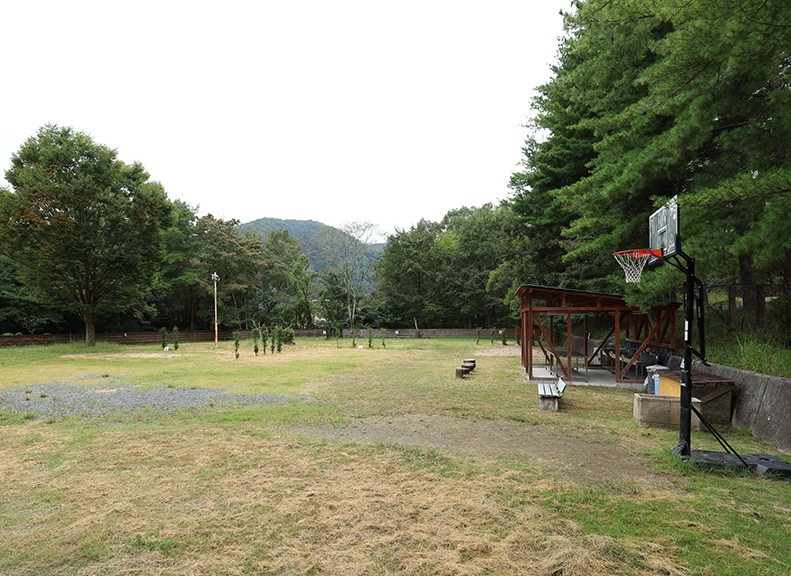 家族やペットと楽しむ快適なキャンプサイト