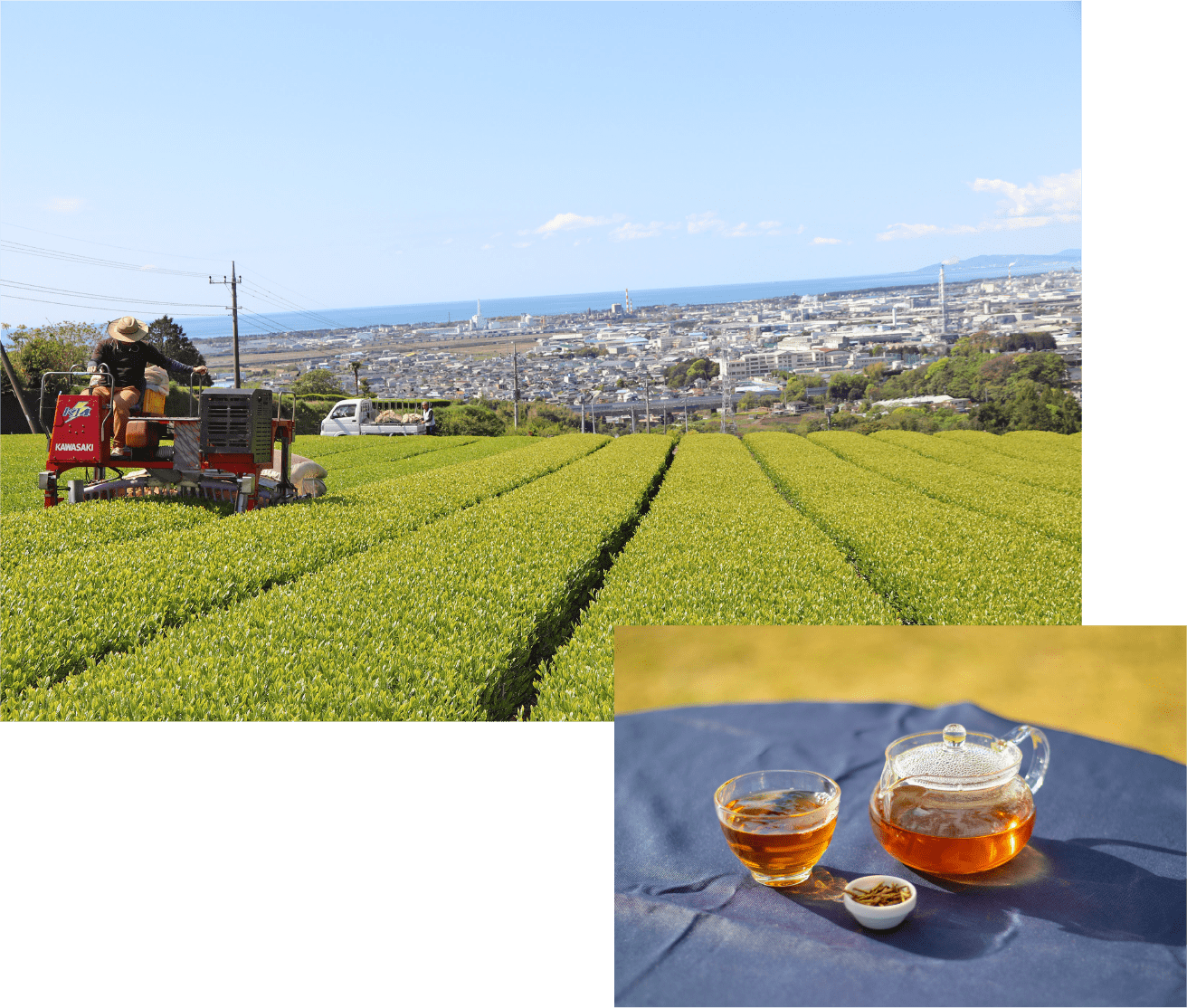 富士市のお茶のはじまり 自然に恵まれ誕生した富士のお茶のルーツ