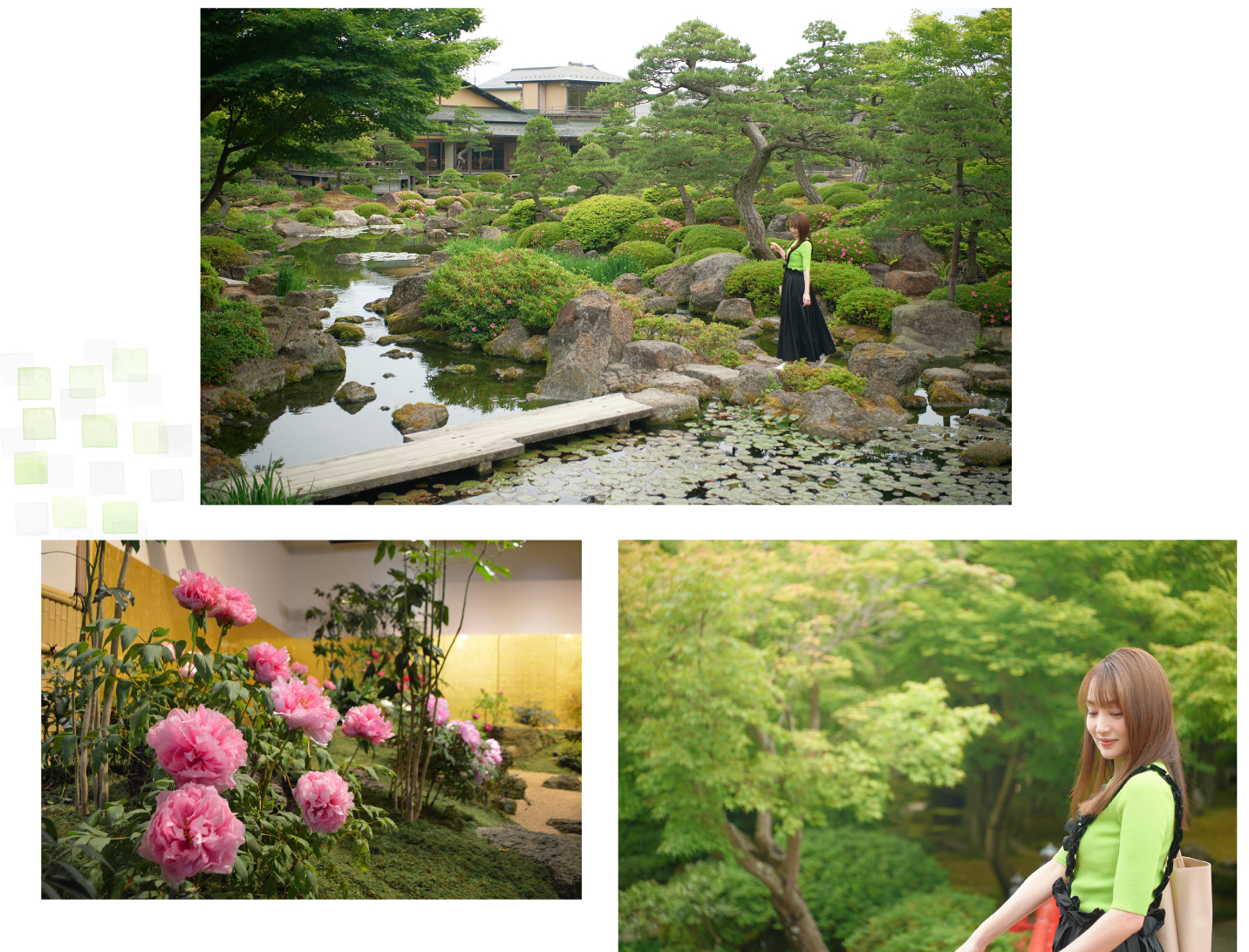 一年中牡丹が眺められ日本の美しさが詰まった庭園由志園で庭園鑑賞