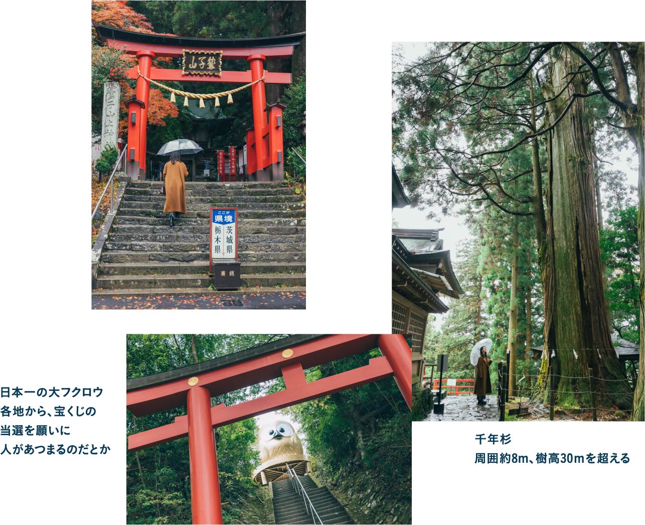 栃木県と茨城県の県境を跨いで鎮座する鷲子山上神社で運気UP!