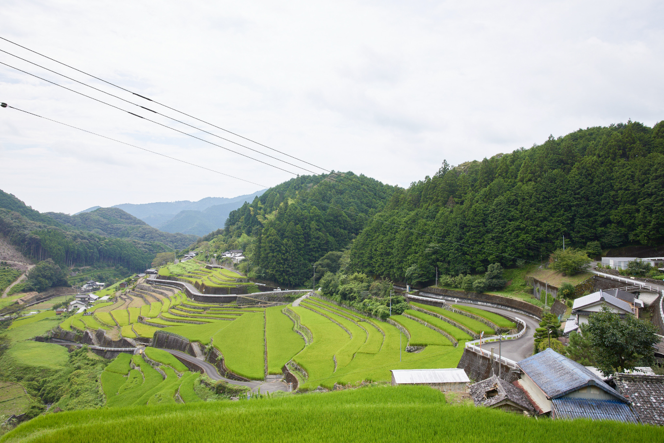 段々の貝ノ川の棚田に日本の原風景を見る