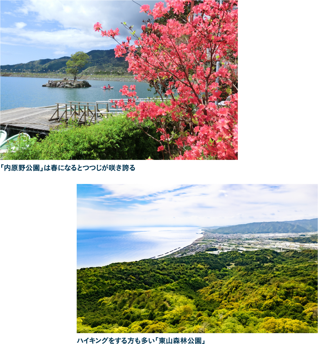 緑豊かなスポットが身近に！自然に囲まれた環境で心身ともにリラックス