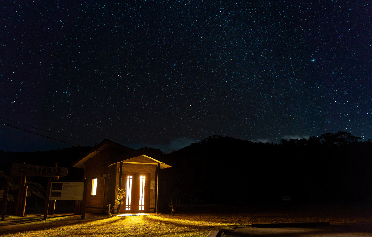 天城町の夜空に広がる満天の星空