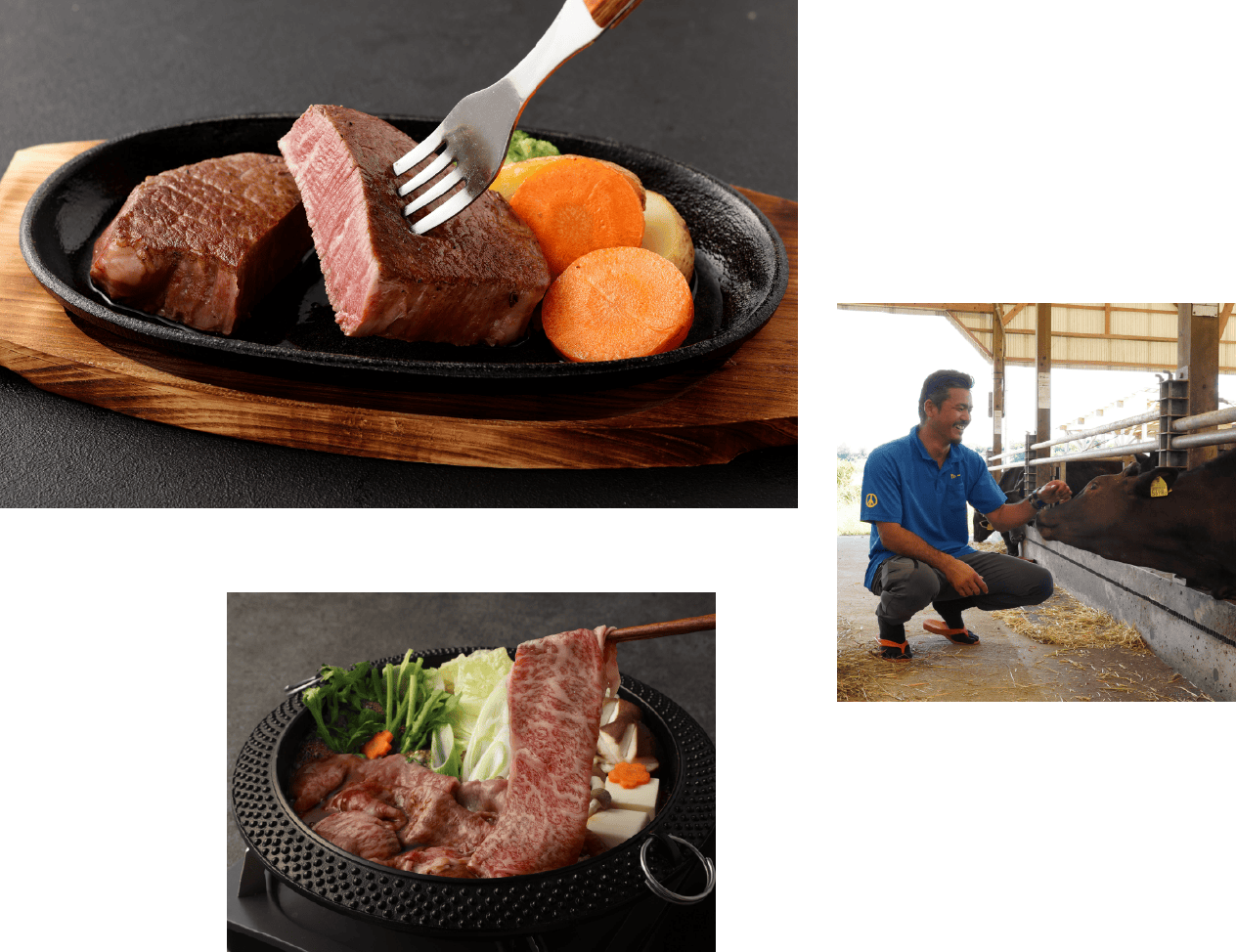 鹿児島黒毛和牛のステーキとすき焼き、肥育の様子