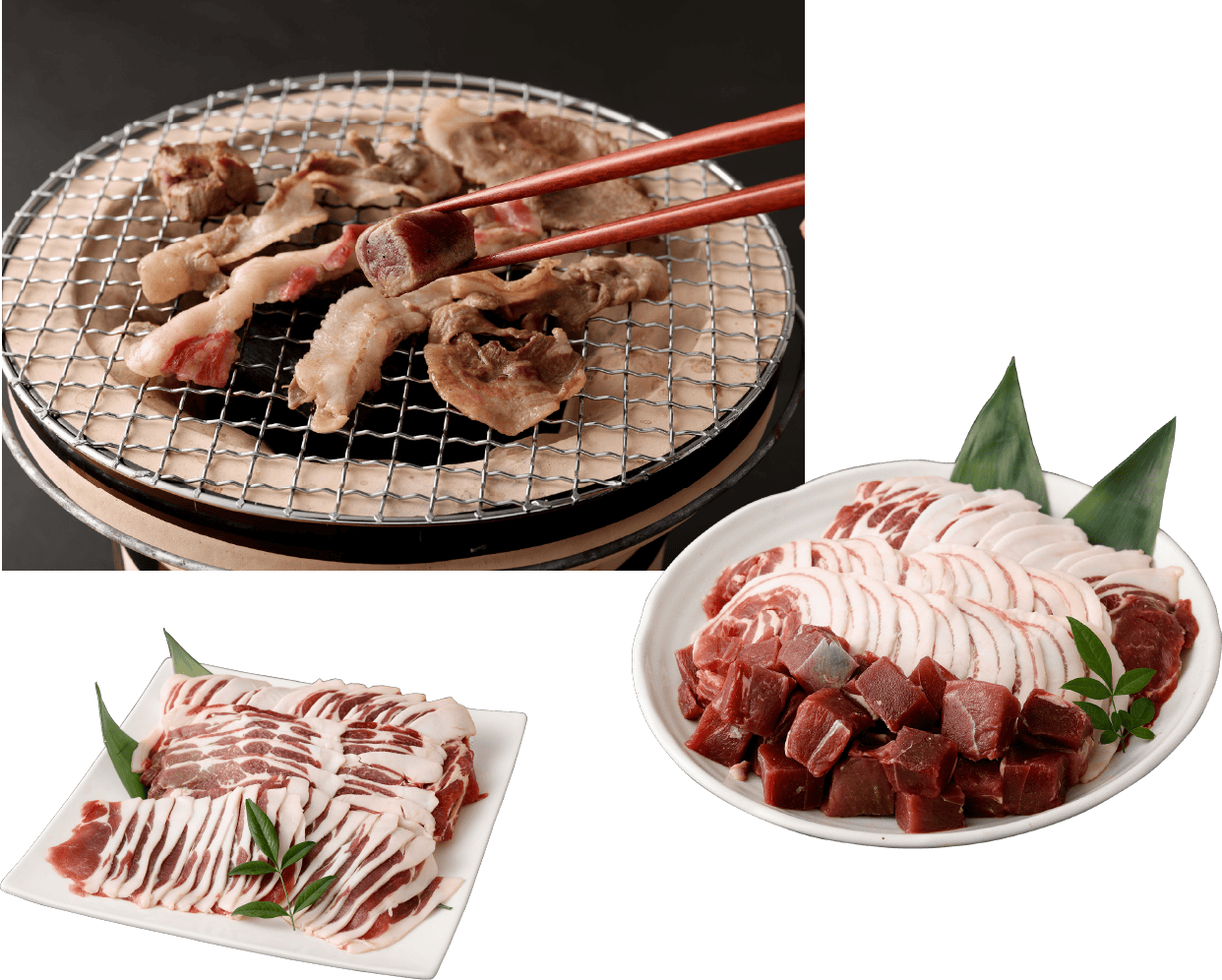 リュウキュウイノシシの焼き肉と精肉