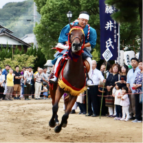季節ごとの過ごし方をチェック 浅口・春夏秋冬カレンダー