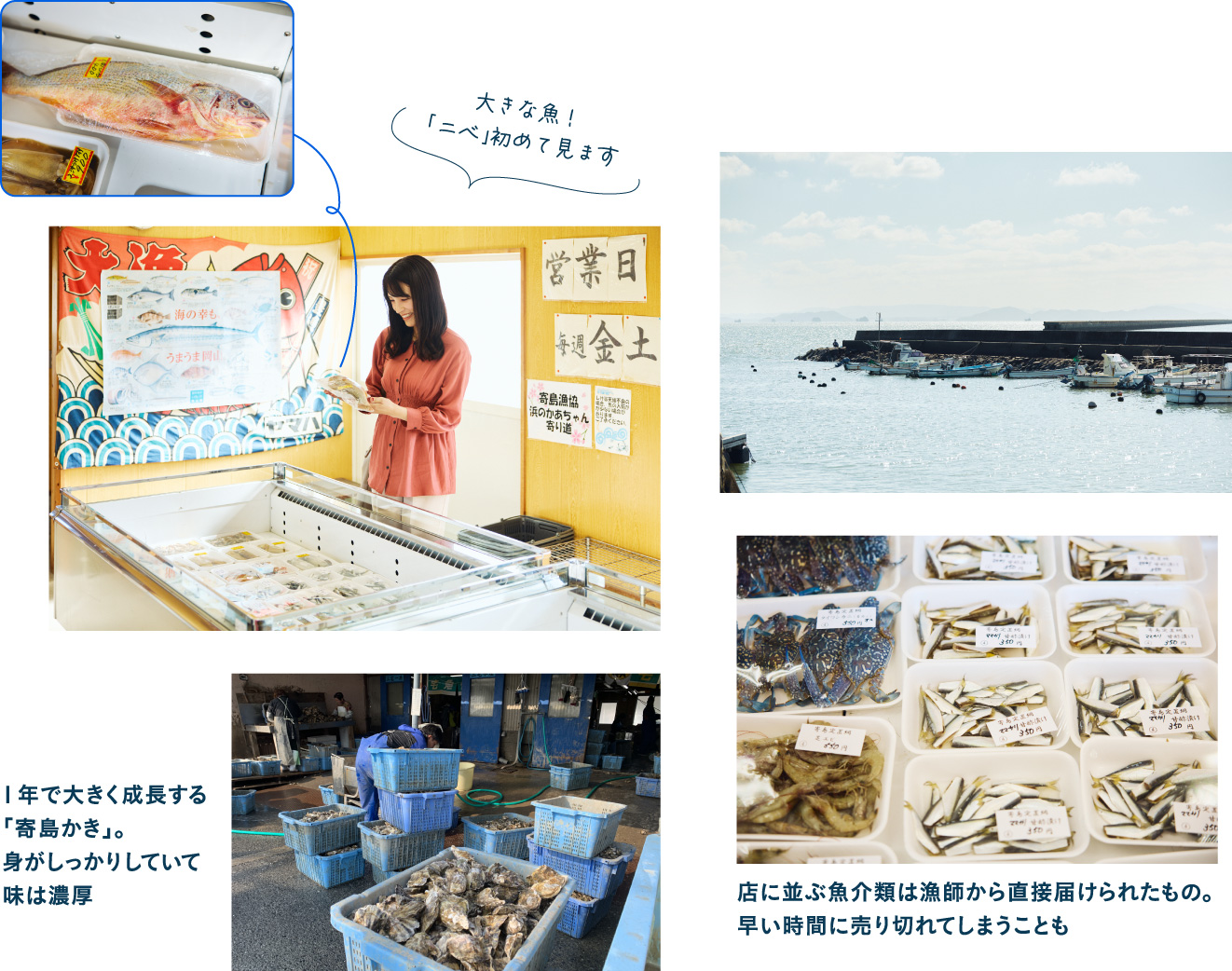 寄島漁港にある漁師の直売所 新鮮な牡蠣や海の幸をお得にゲット