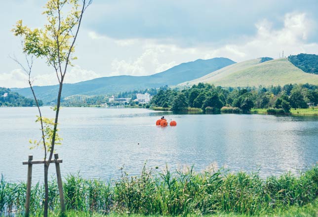 當真あみさん、スペシャルインタビュー