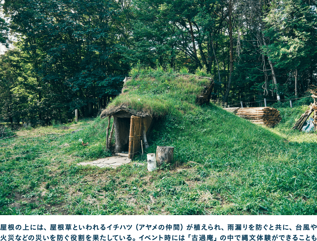 青少年自然の森に現れた縄文の家藤森式竪穴住居「古過庵」