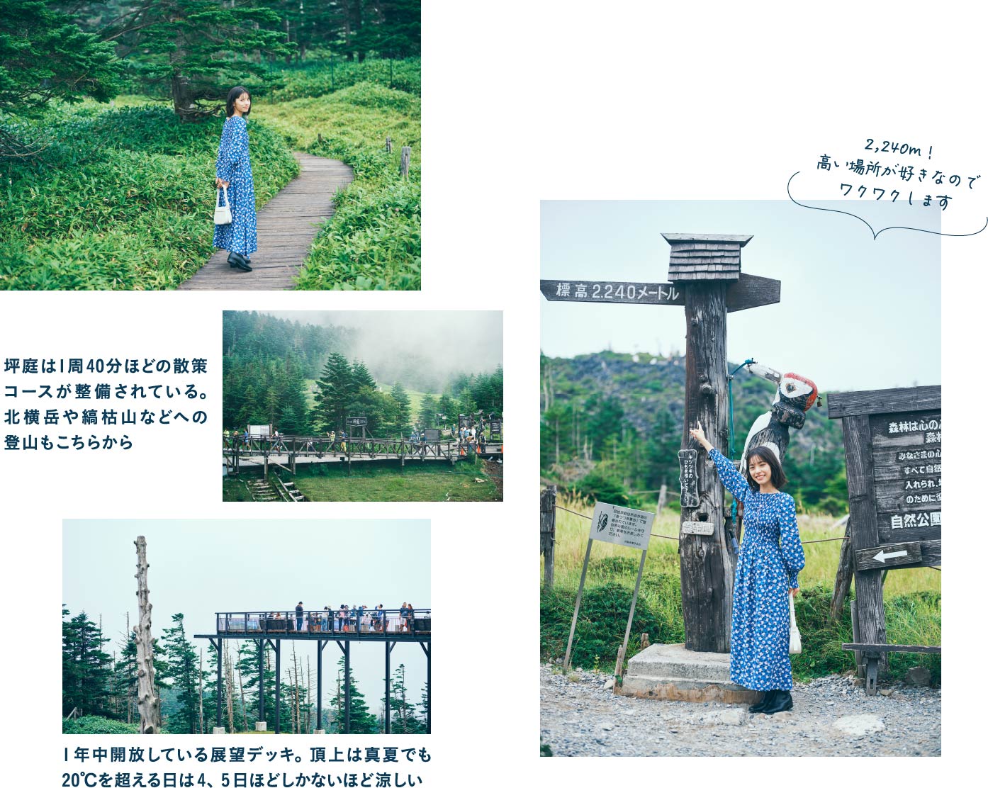 北八ヶ岳ロープウェイで天空へ絶景と自然の造形に圧倒されるの森に現れた縄文の家藤森式竪穴住居「古過庵」