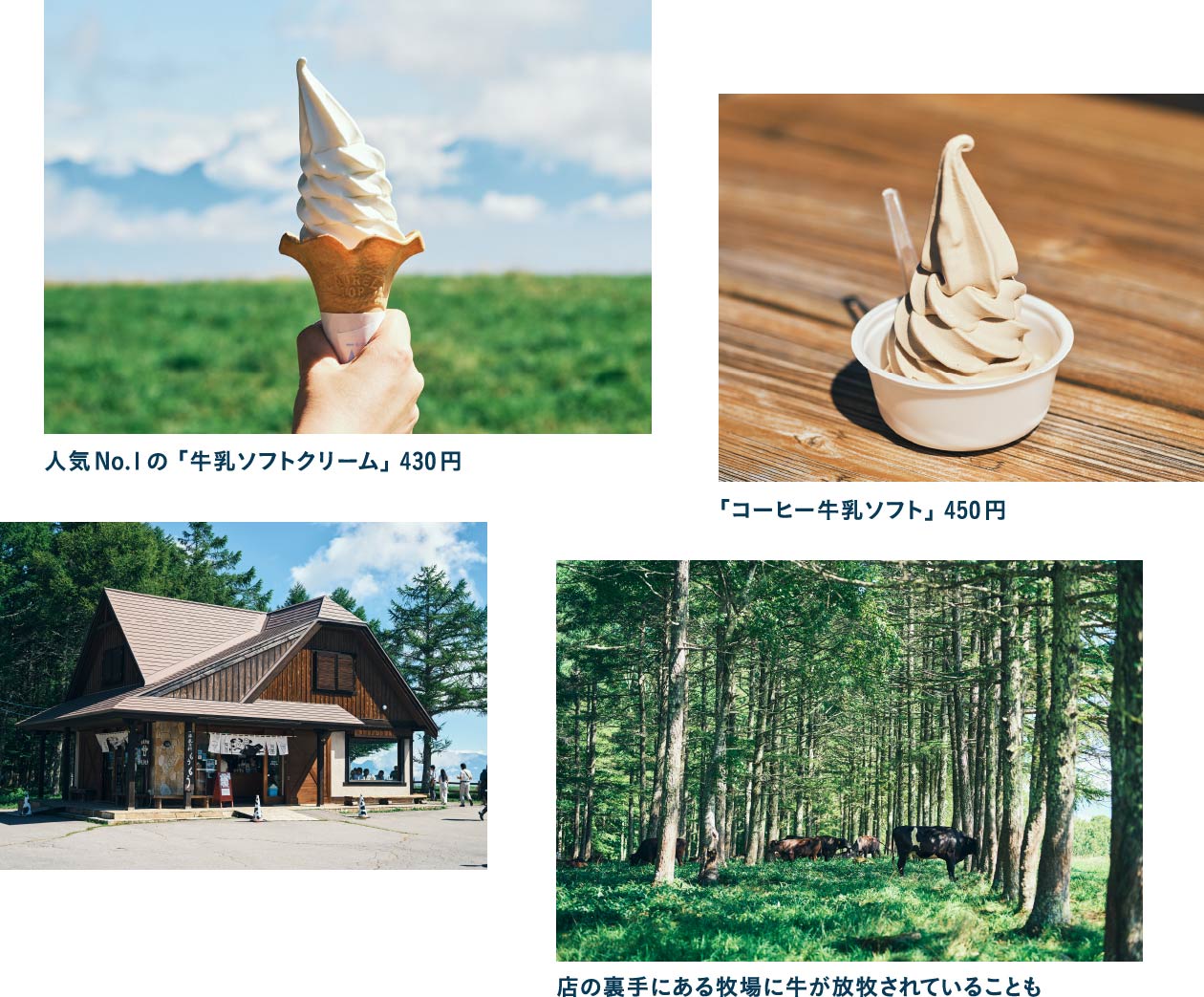大自然を眺めながら味わいたい牛乳専科もうもうのソフトクリーム