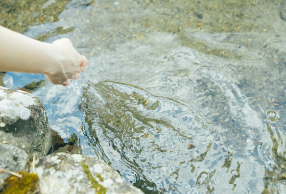 森 日菜美 インタビュー