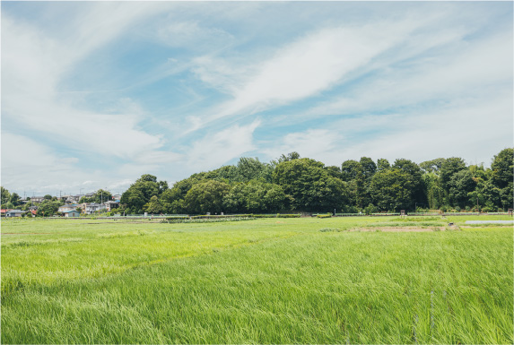 森 日菜美 インタビュー