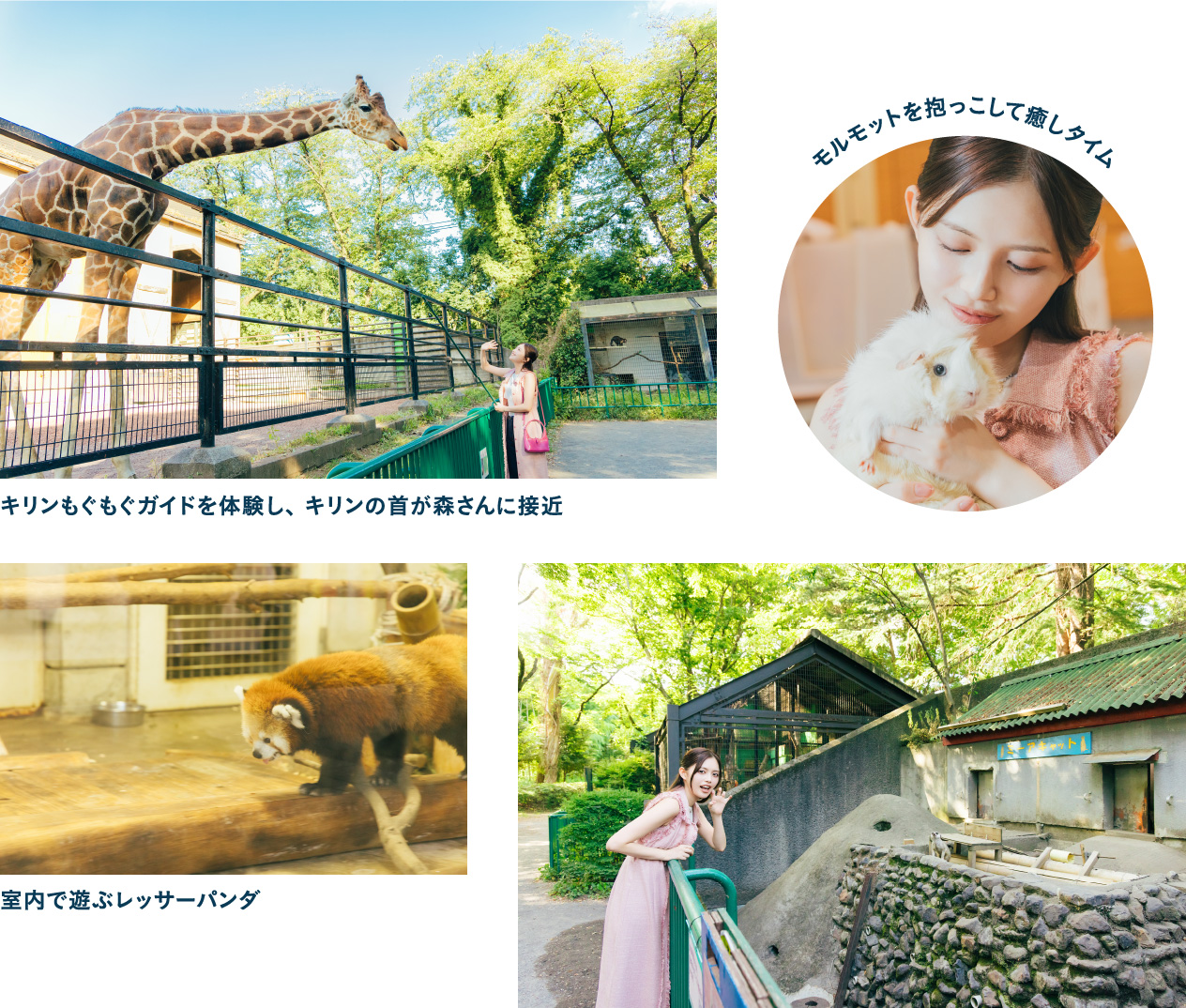 ヒノトントンZOO（羽村市動物公園）